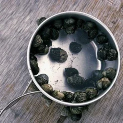 Snow Peak Titanium Personal Cookerset -Trail Camp Shop 5 f4a24d2b 74c1 4d6c b87f 1a2061f2d3b5