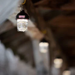 Barebones Beacon Kraft Packaging - Olive -Trail Camp Shop LIV 297 5